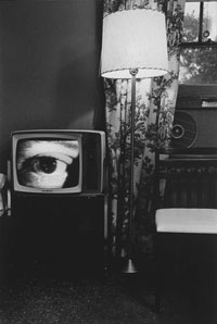 Lee Friedlander